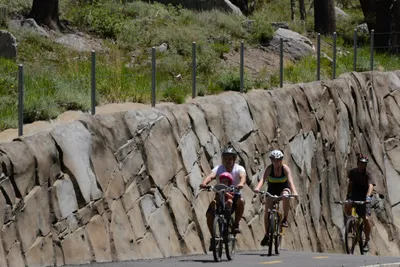 DSC_3167 (Large).JPG